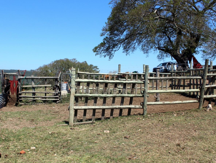 Commercial Property for Sale in Komga Rural Eastern Cape